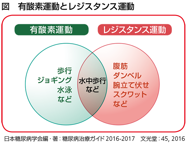 運動と血糖コントロール