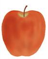 イラスト：リンゴ