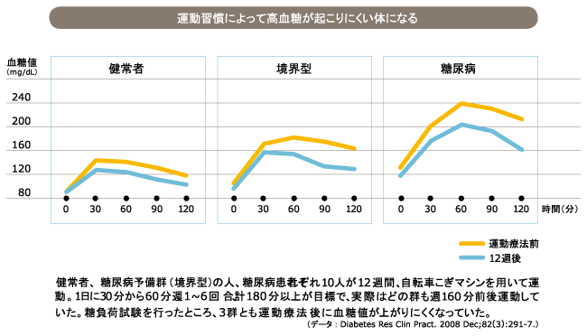 高血糖の予防法〈運動編〉