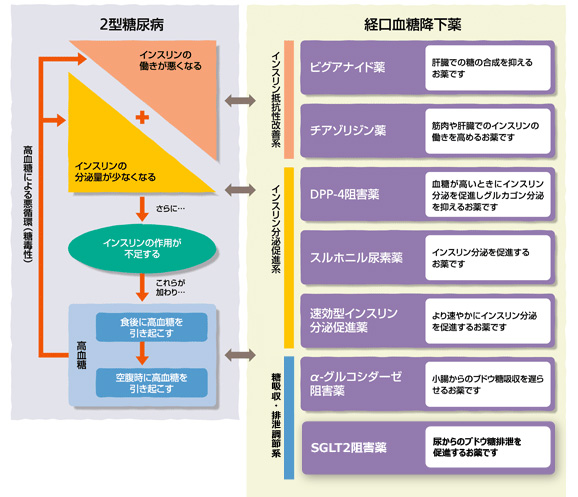 る 血糖 値下げ