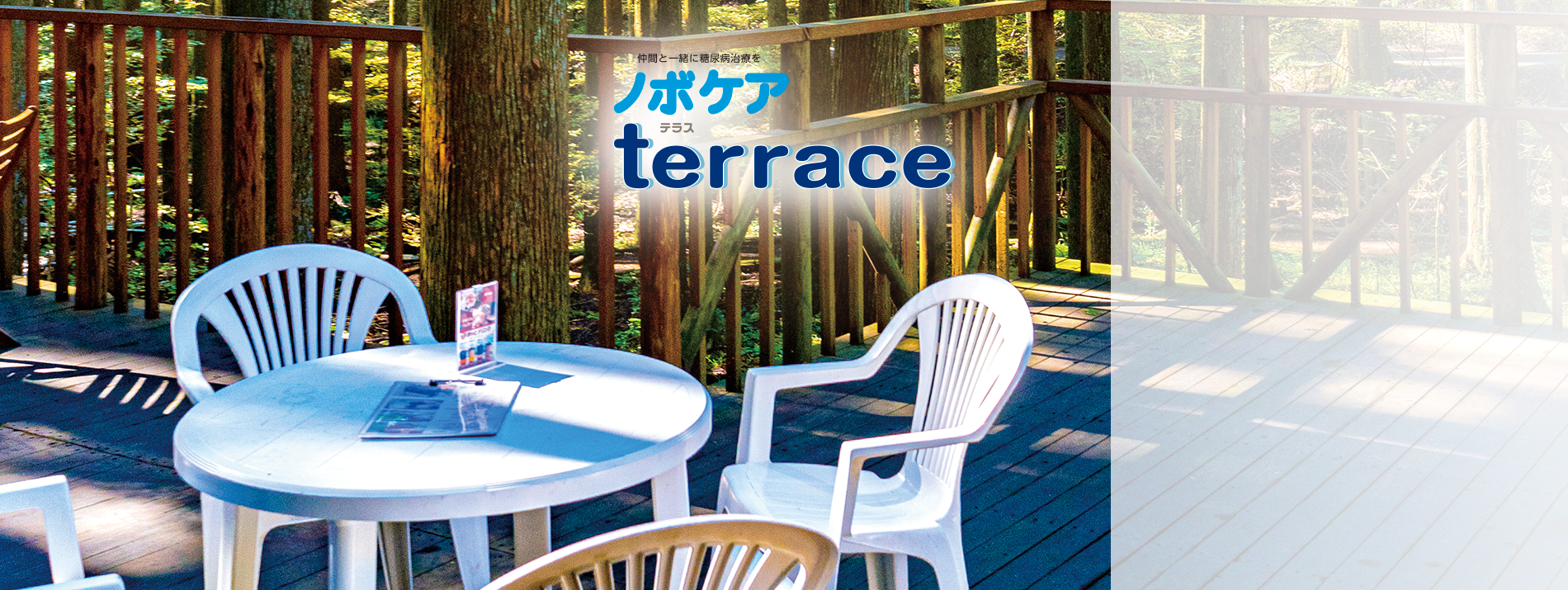 ノボケア terrace
