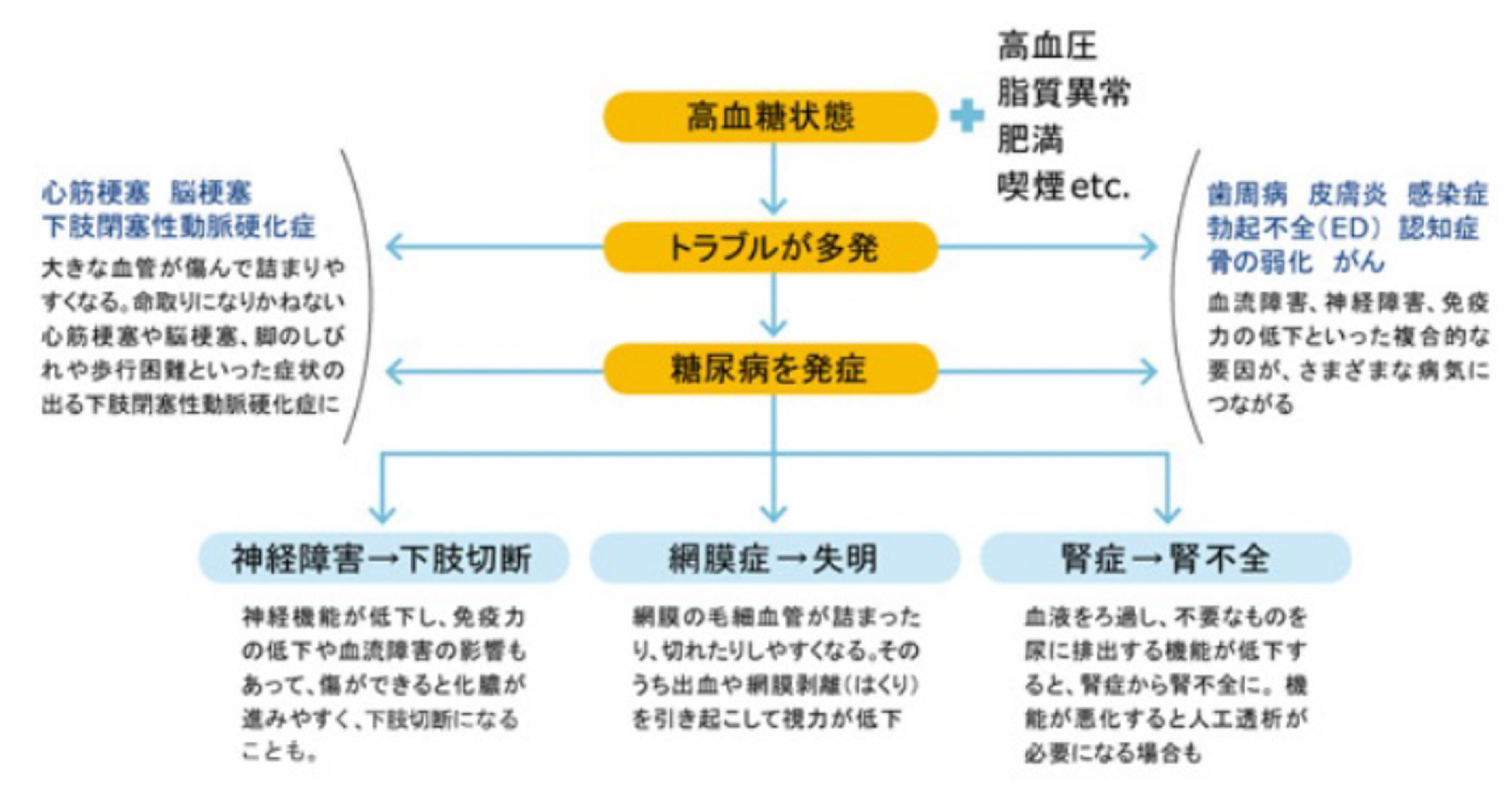 糖尿病と高血糖 | 糖尿病サイト