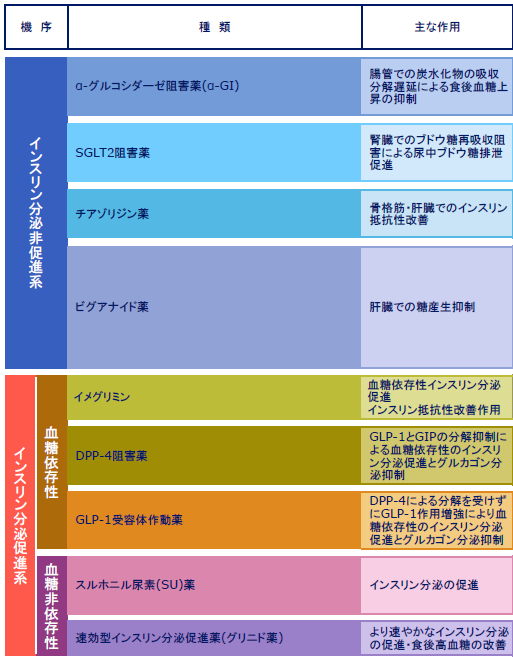 〔日本糖尿病学会編・著：糖尿病治療ガイド2022-2023 文光堂：40-41, 2022より抜粋〕